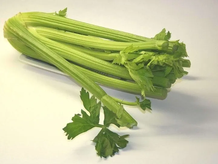 celery for dr Rhona Patrick Smoothie