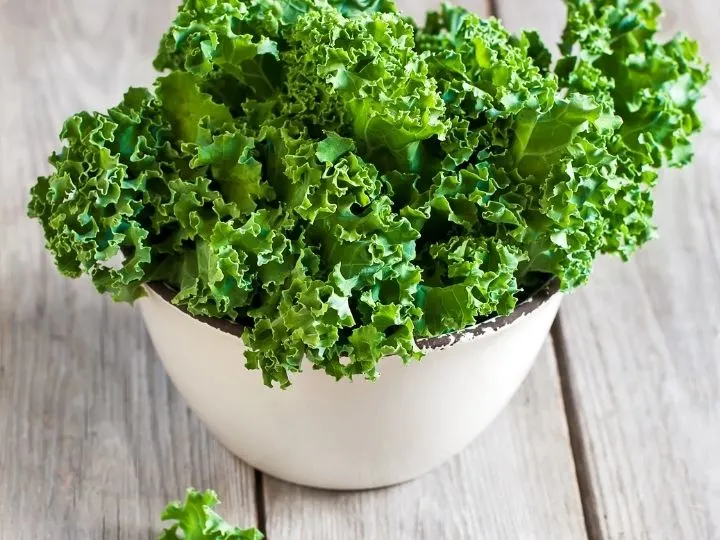 green kale for Rhonda Patrick smoothie