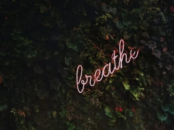 Neon Breathe Sign on Ivy Covered Wall