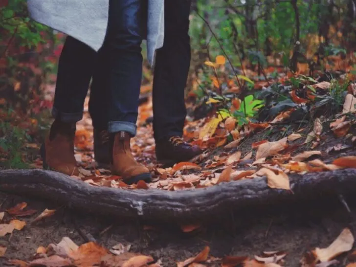 People Walking Through Forest in Fall