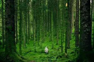 Man walking through tall trees over green moss in white outfit.