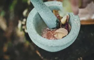 Grey mortal and pestle with plants and herbs.